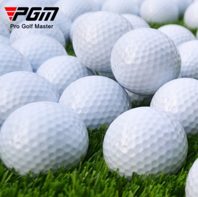 PGM ゴルフ練習用ボール 10個セット 二重レイヤー構造 ゴルフ