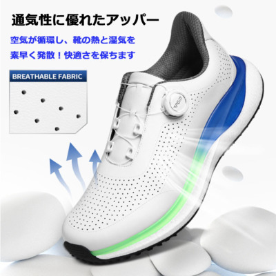 ACeC[W