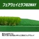 ACeC[W