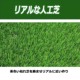 ACeC[W