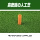 ACeC[W